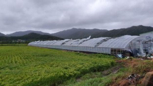 강진군, 올해 농작물 재해보험 74억 8천만 원 지원
