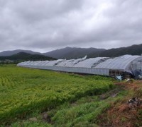 강진군, 올해 농작물 재해보험 74억 8천만 원 지원
