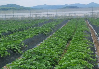전남도, 유기농업자재 지원으로 친환경농업 실천 강화